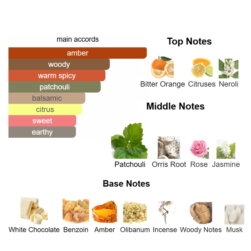 aam coromandel aam coromandel