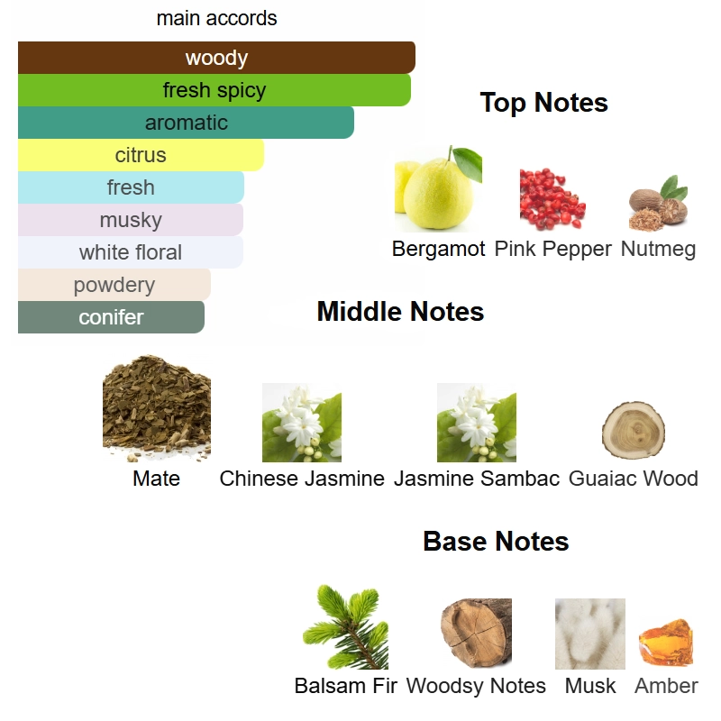 aam matsukita aam matsukita