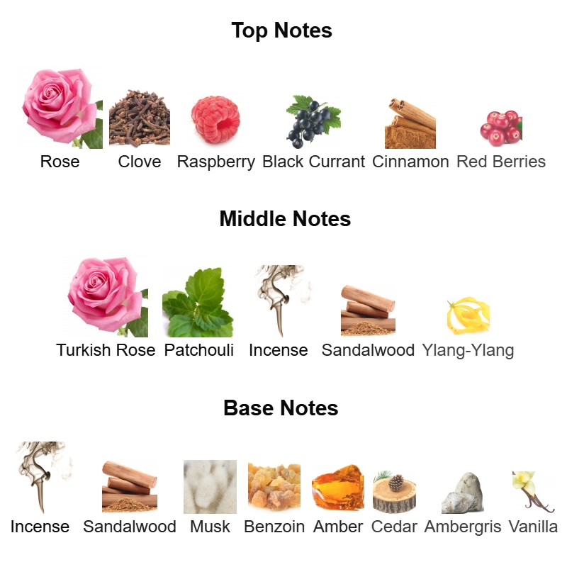 aam portrait of a lady aam portrait of a lady