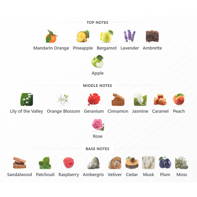 dsf helen gissah dsf helen gissah